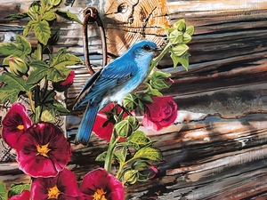 blue, Bird, Flowers, Hollyhocks, Red