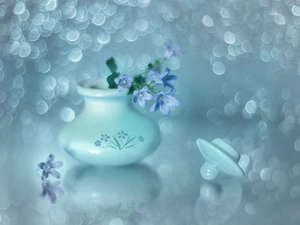 Campanula, ringtones, vase, Blue