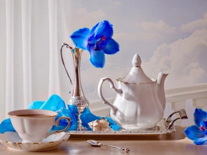 Blue, Orchidee, cup, jug, china