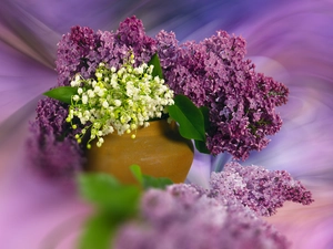 without, Flowers, Vase, blur, bouquet, lilies