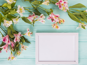 frame, boarding, Alstroemeria, Leaf, Flowers