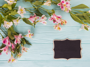 plate, boarding, Alstroemeria, Leaf, Flowers