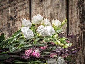 boarding, bouquet, Eustoma