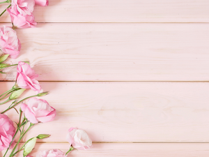 boarding, Flowers, Eustomy