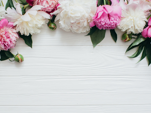 Buds, Flowers, White, boarding, Leaf, Peonies