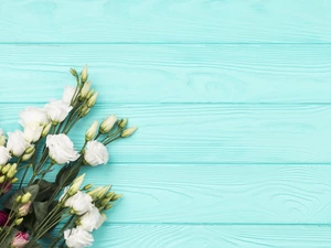 Flowers, boarding, Red, White, Eustoma