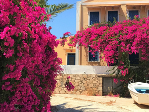 house, trees, Bougainvillea, Boat