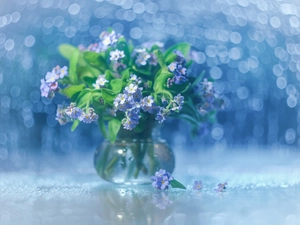 Forget, Bokeh, Blue, Flowers, decoration