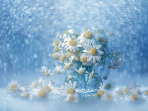 Flowers, chamomile, Bokeh, decoration, vase, White