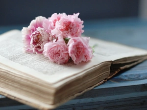 Book, bouquet, flowers
