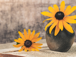 Vase, Book, Flowers, Rudbeckia, Yellow