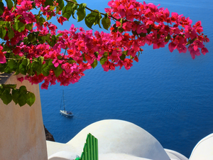 Bougainvillea, Yacht