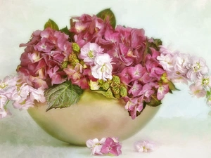 bowl, bouquet, Flowers, hydrangeas, graphics