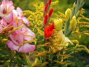 bouquet, gladioli