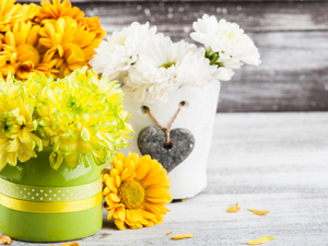 Orange, White, Pots, Bouquets, Chrysanthemums, Yellow