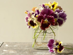 pansies, bowl