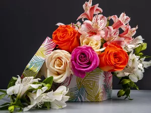 Alstroemeria, Box, color, roses, Flowers
