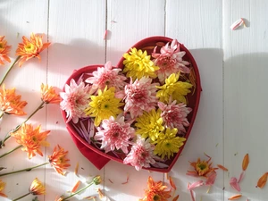 Yellow, Flowers, White, Orange, flakes, Heart, Box, Pink, Chrysanthemums, shadow, boarding