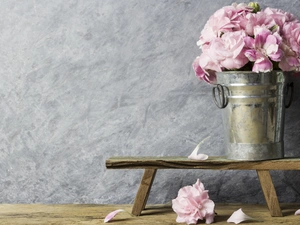 Flowers, Bucket, Bench, Clove Pink