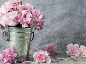 Flowers, Bucket, decoration, Clove Pink