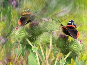 graphics, plant, teasel, butterflies