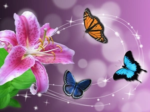 butterflies, Pink, Lily