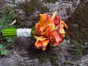 small bunch, tea, Calla