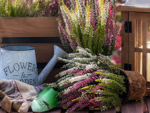 lantern, heather, watering can, composition, box, Pots