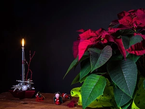 star of Bethlehem, Candle