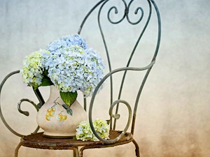 composition, Vase, Chair, hydrangeas