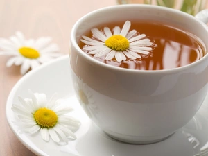 chamomile, cup, tea