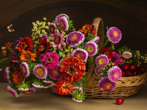 China Aster, Bouquet of Flowers, Fruits, Japanese cornel, Zinnias, basket