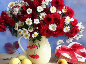 chrysanthemums, apples, bouquet, marguerites, jug
