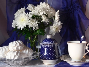 White, cup, meringues, Chrysanthemums