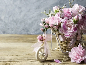 Bicycle, Clove Pink, decoration, Flowers