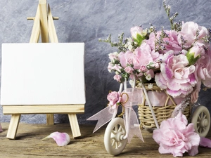 Bicycle, Clove Pink, table, Flowers