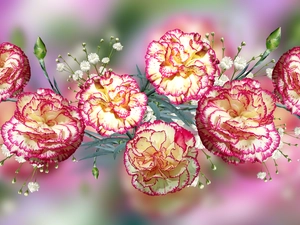 2D Graphics, Flowers, cloves