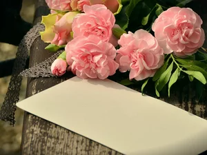 Leaf, Pink, card, cloves, Flowers, Buds, boarding