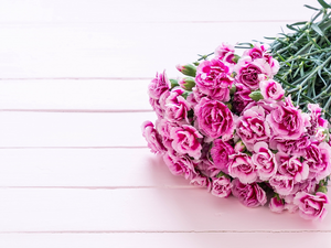 Flowers, bouquet, boarding, cloves