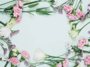 Flowers, cloves, Sea Lavender, Eustoma