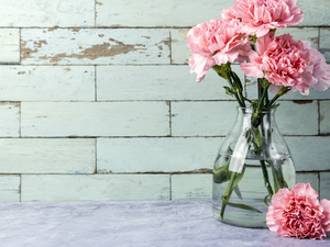 Vase, Colourfull Flowers, cloves