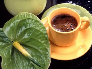 Anturium, cup, coffee, green ones