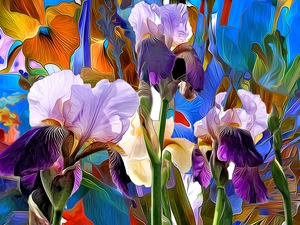 color, Irises