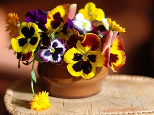 pansies, small bunch, Colorful