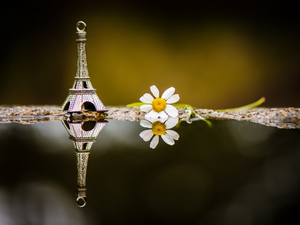 Colourfull Flowers, chamomile, tower, Eiffla, Pendant