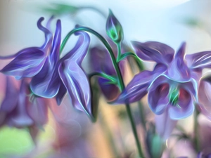 lilac, Fractalius, Flowers, Columbines