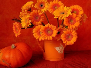 bouquet, pumpkin, composition, Gerbers