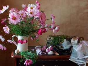 Cosmos, jug, Shells, composition, casket, bouquet