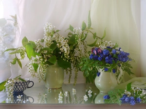 Muscari, bouquet, cup, Bird Cherry, Flowers, jug, composition