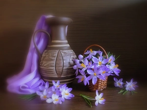 colchicum, purple, basket, composition, jug, Flowers